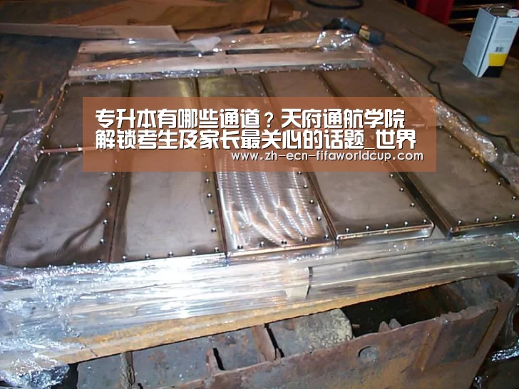 专升本有哪些通道?天府通航学院解锁考生及家长最关心的话题_世界杯投注(图2) 世界杯投注