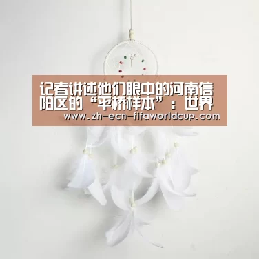 记者讲述他们眼中的河南信阳区的“平桥样本”：世界杯投注