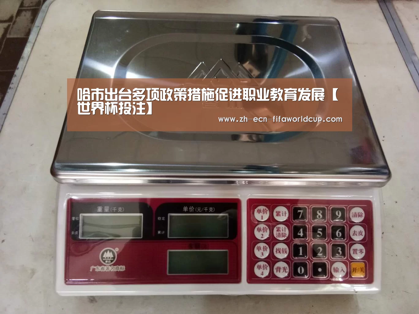 哈市出台多项政策措施促进职业教育发展【世界杯投注】(图3) 世界杯投注