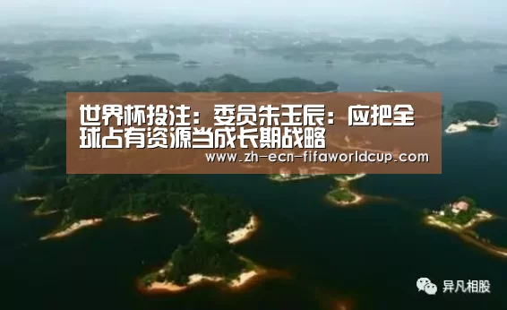 世界杯投注：委员朱玉辰：应把全球占有资源当成长期战略