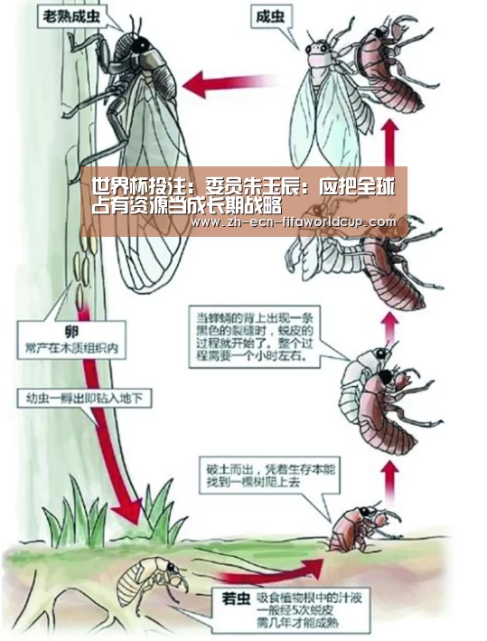 世界杯投注:委员朱玉辰:应把全球占有资源当成长期战略(图2) 世界杯投注