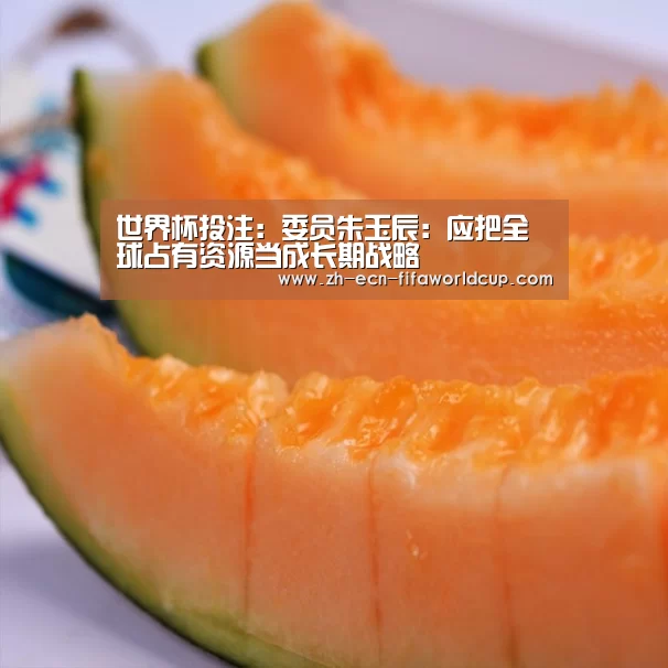 世界杯投注:委员朱玉辰:应把全球占有资源当成长期战略(图3) 世界杯投注