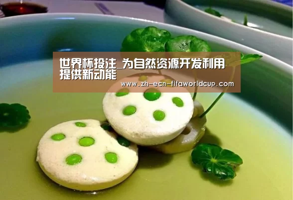 世界杯投注_为自然资源开发利用提供新动能(图2) 世界杯投注