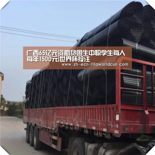 广西65亿元资助贫困生中职学生每人每年1500元|世界杯投注