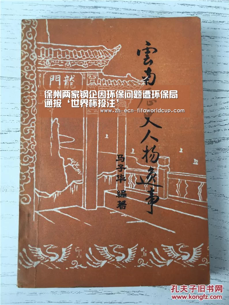 徐州两家钢企因环保问题遭环保局通报‘世界杯投注’(图2) 世界杯投注