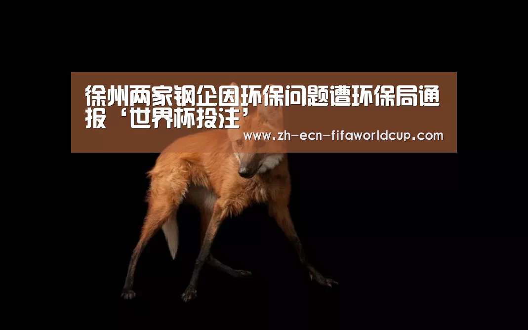 徐州两家钢企因环保问题遭环保局通报‘世界杯投注’(图4) 世界杯投注