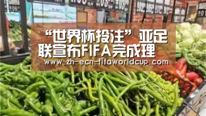 “世界杯投注”亚足联宣布FIFA完成理事审核 张剑正式参加竞选