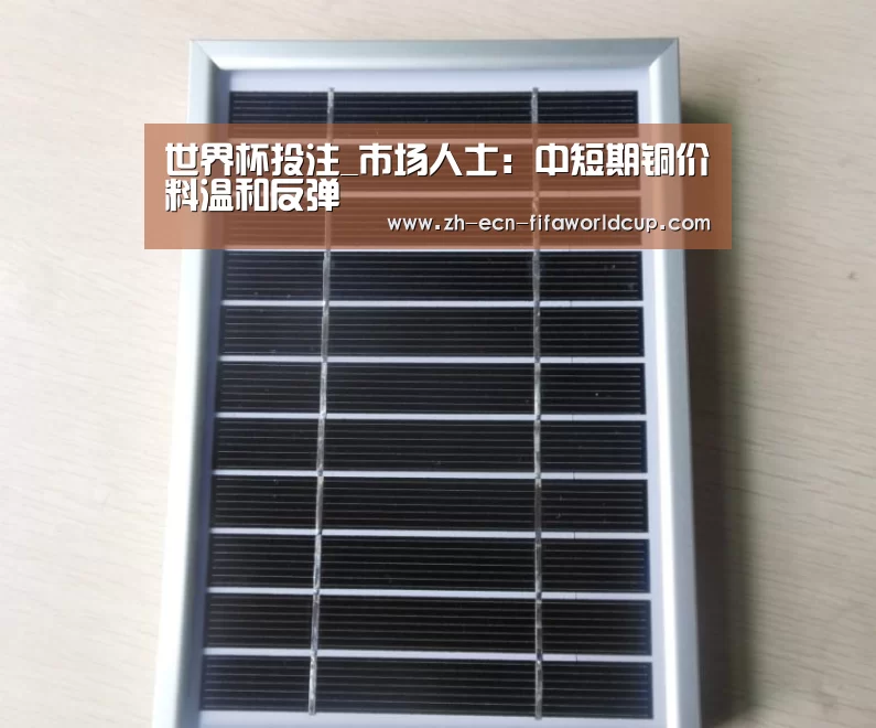 世界杯投注_市场人士：中短期铜价料温和反弹