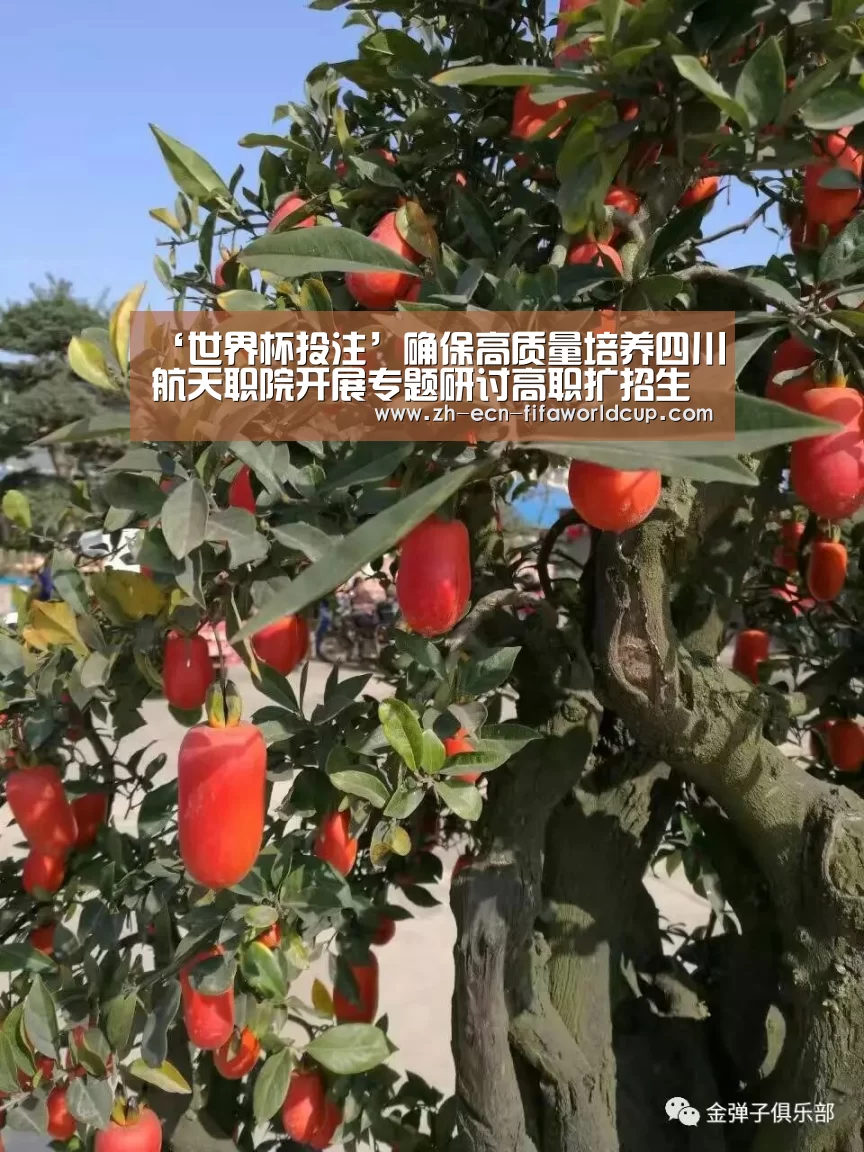 ‘世界杯投注’确保高质量培养四川航天职院开展专题研讨高职扩招生源教育教学工作